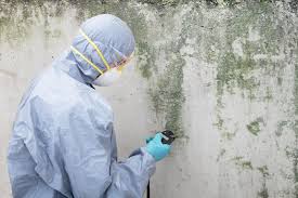 Asbestos and Lead Testing During Mold Inspection in Travelers Rest, SC